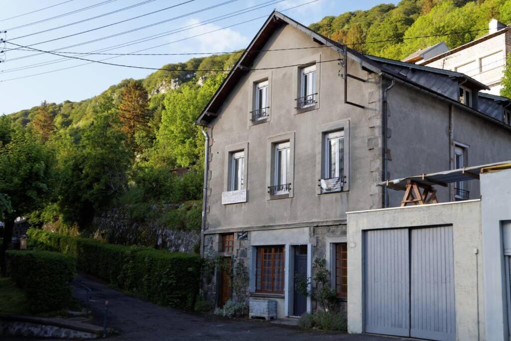 Villa Jean Julien - Les Cascades - Appartement T3 - 2 Chambres - 6 Personnes Le Mont-Dore Eksteriør bilde