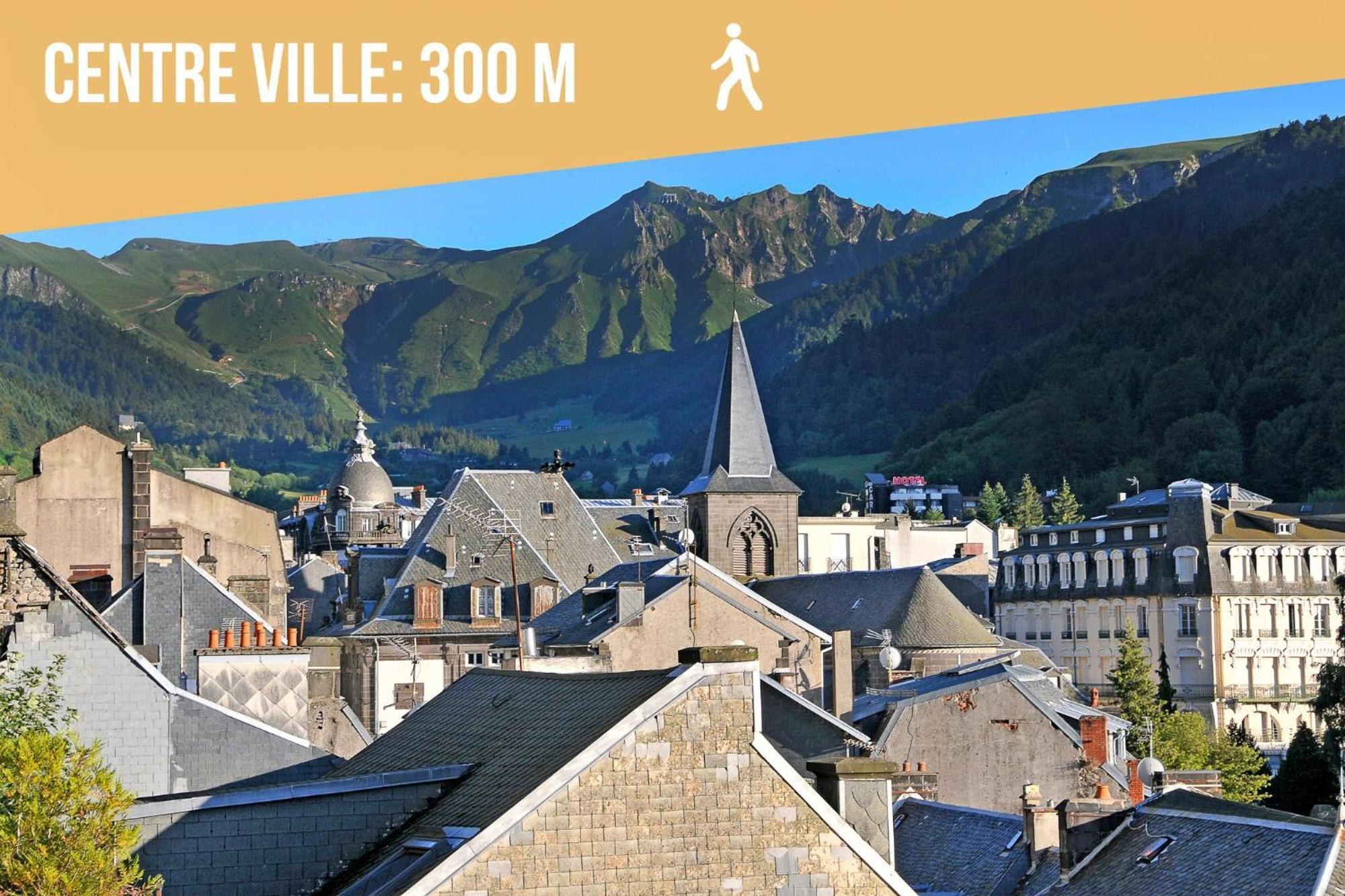 Villa Jean Julien - Les Cascades - Appartement T3 - 2 Chambres - 6 Personnes Le Mont-Dore Eksteriør bilde